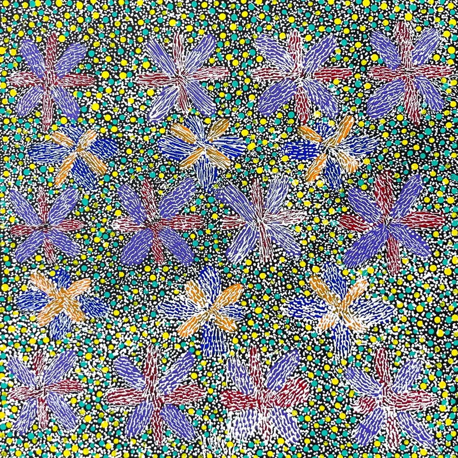 Audrey Morton Kngwarreye - SP10729