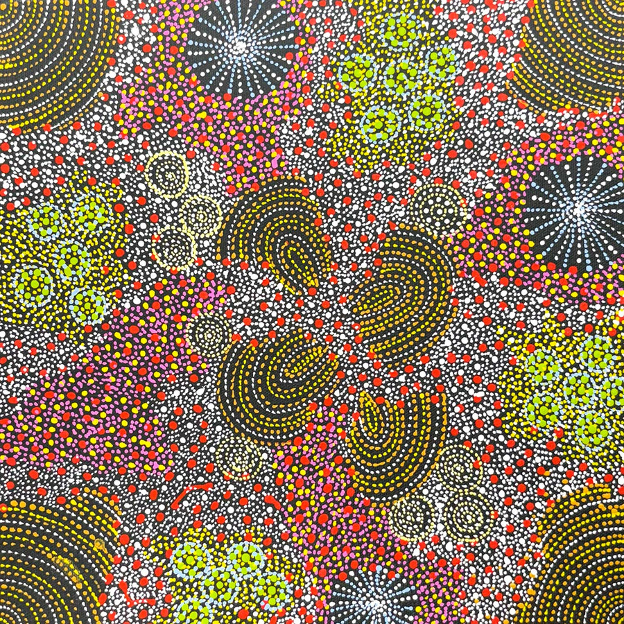 Susan Hunter Petyarre - SP10820