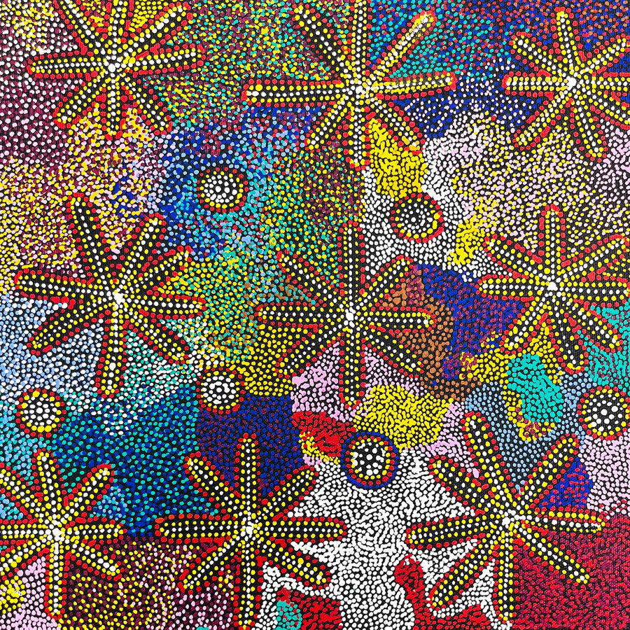 Janie Petyarre Morgan - SP10952