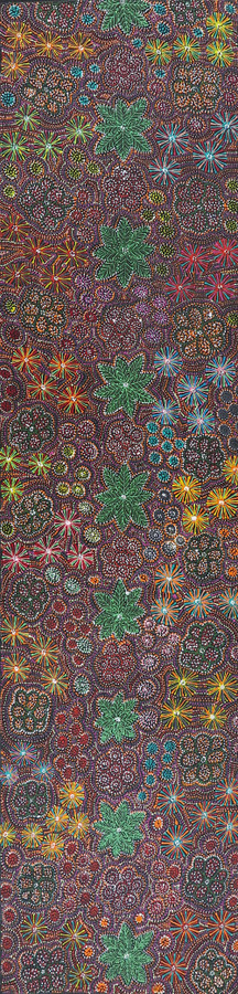 Jessie Hunter Petyarre - MB062464