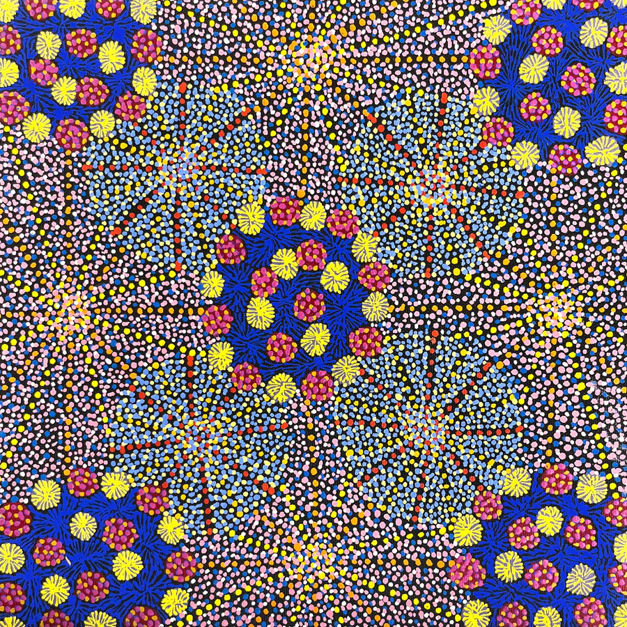 Michelle Lion Kngwarreye - SP11045