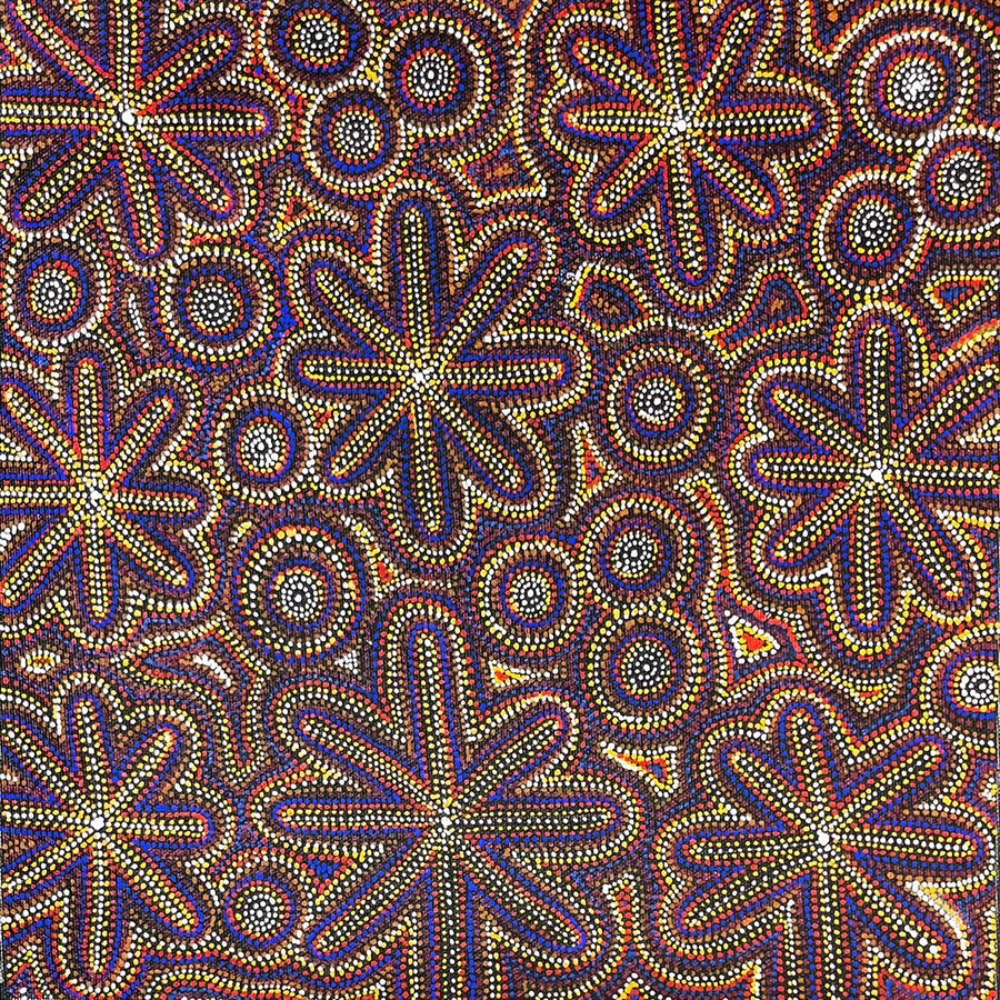 Janie Petyarre Morgan - SP11076