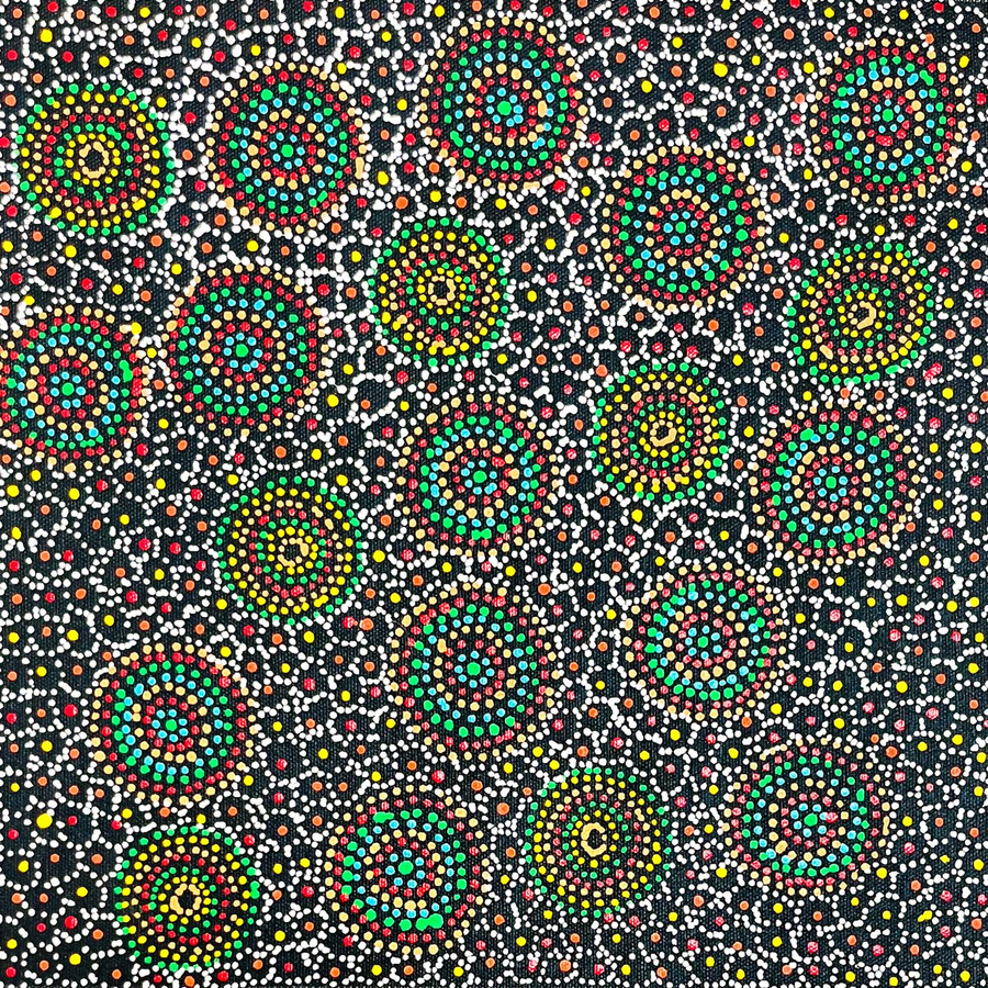 Valorine Kngwarreye Morgan - SP11217