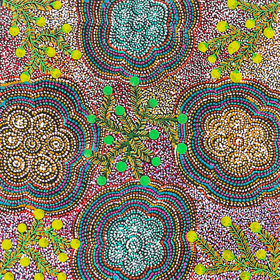 Jessie Hunter Petyarre - sp11272