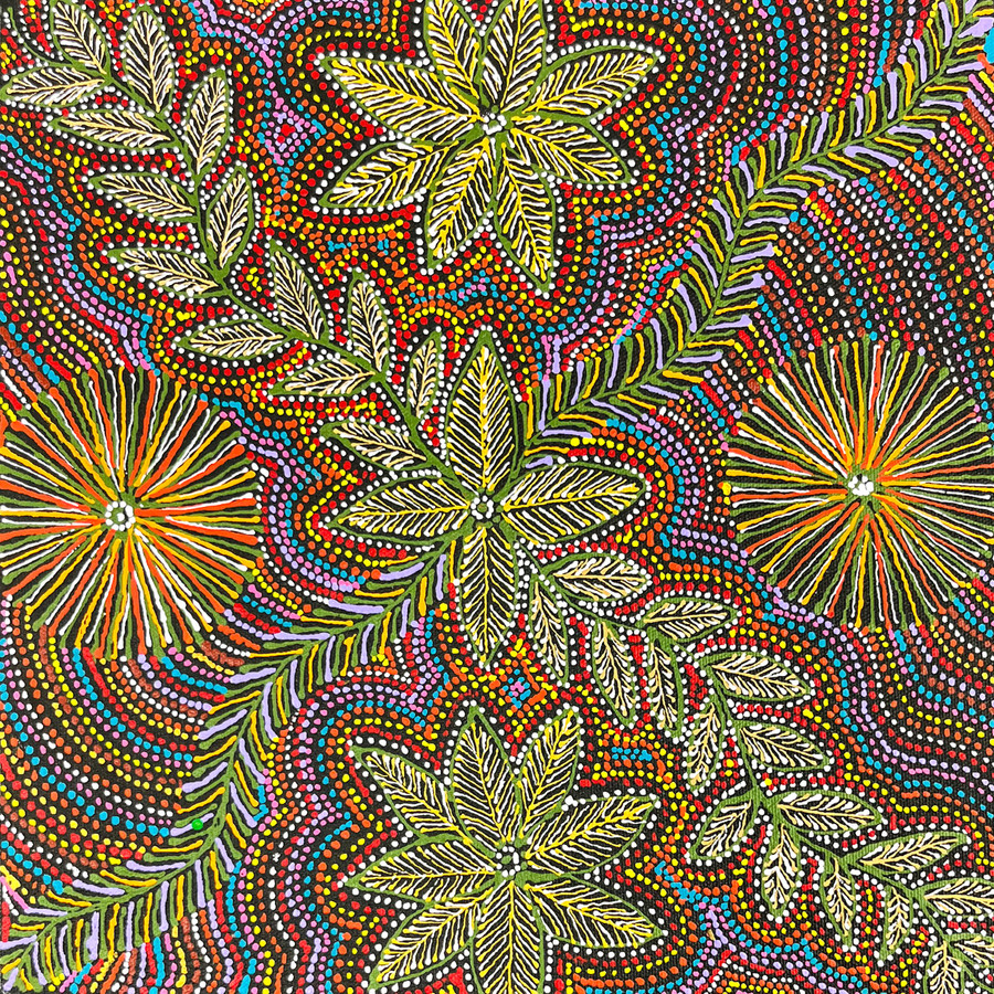 Jessie Hunter Petyarre - sp11341