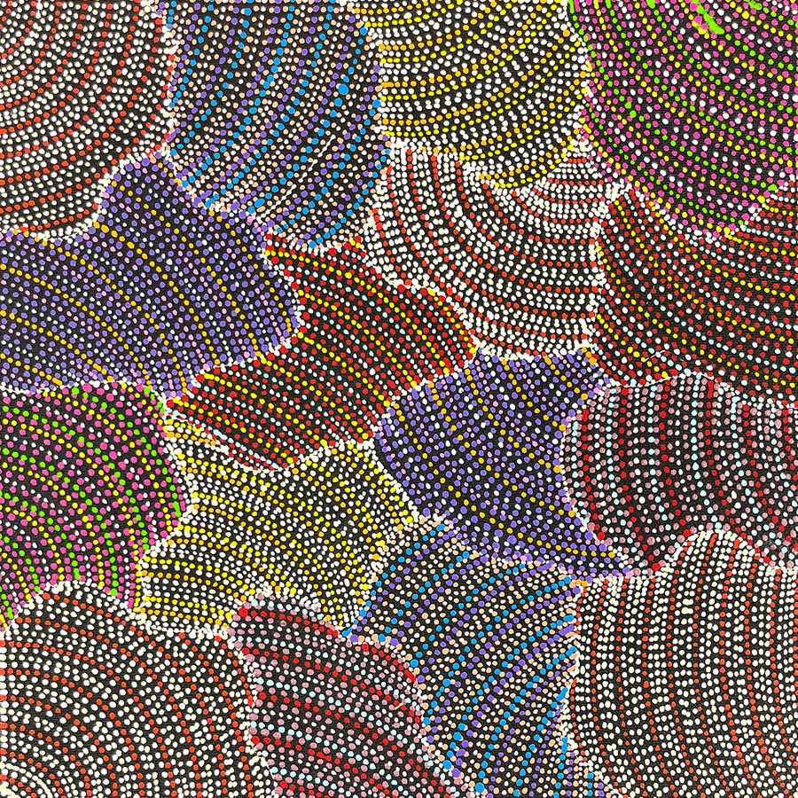Annie Hunter Petyarre - sp11344