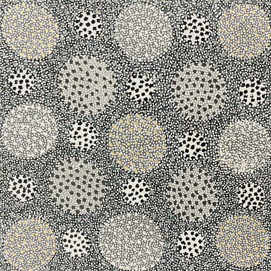 Lily Lion Kngwarreye - SP11499