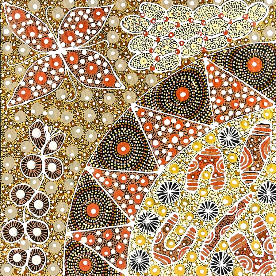 Anna Tilmouth Napangardi - SP11639