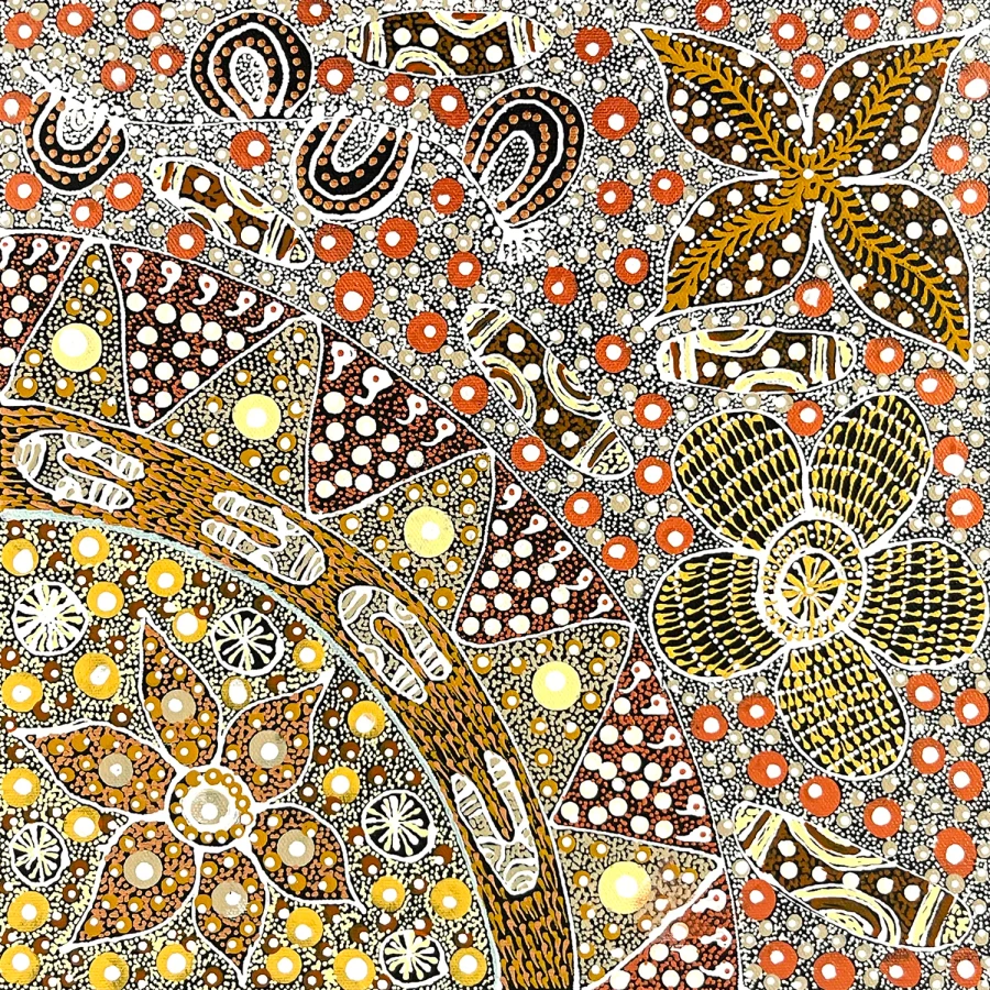 Anna Tilmouth Napangardi - SP11640
