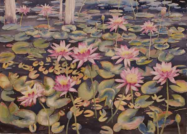 Harold Thomas - MB037040
