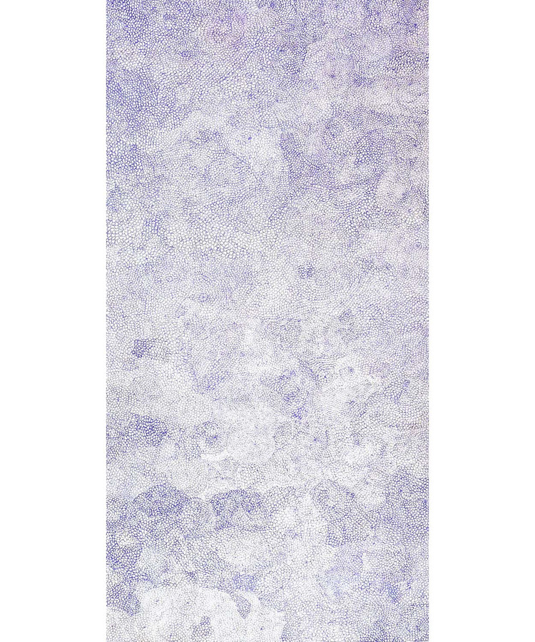 Lucky Morton Kngwarreye - MB050751