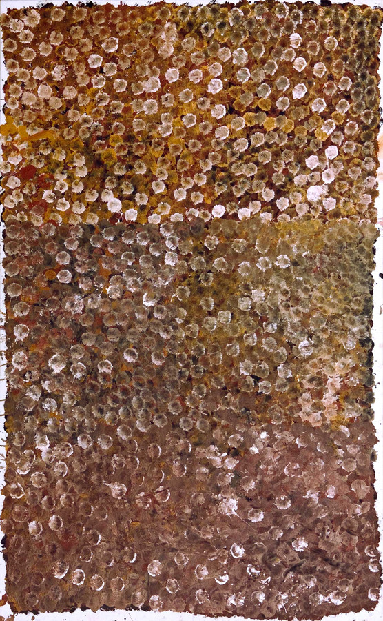Emily Kame Kngwarreye - MB007744