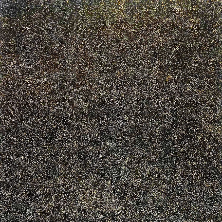 Kathleen Petyarre - MB008951