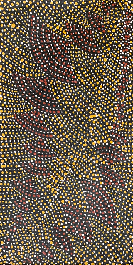Nancy Kunoth Petyarre - MB009787