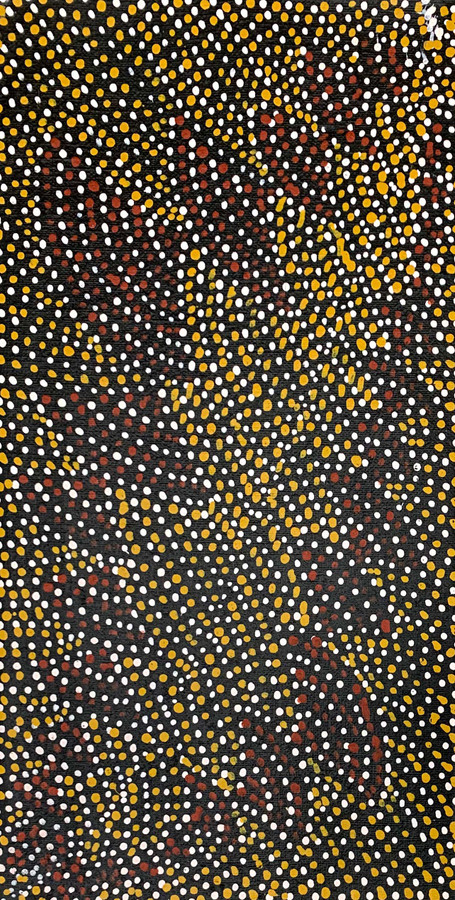 Nancy Kunoth Petyarre - MB009790