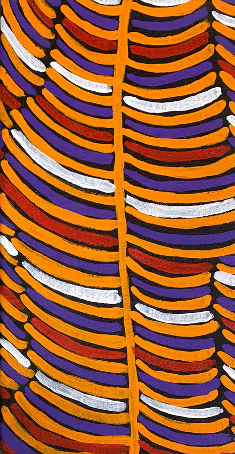 Violet Petyarre - MB010648