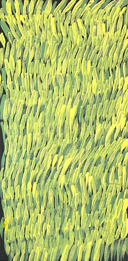 Gloria Tamerre Petyarre - MB011847