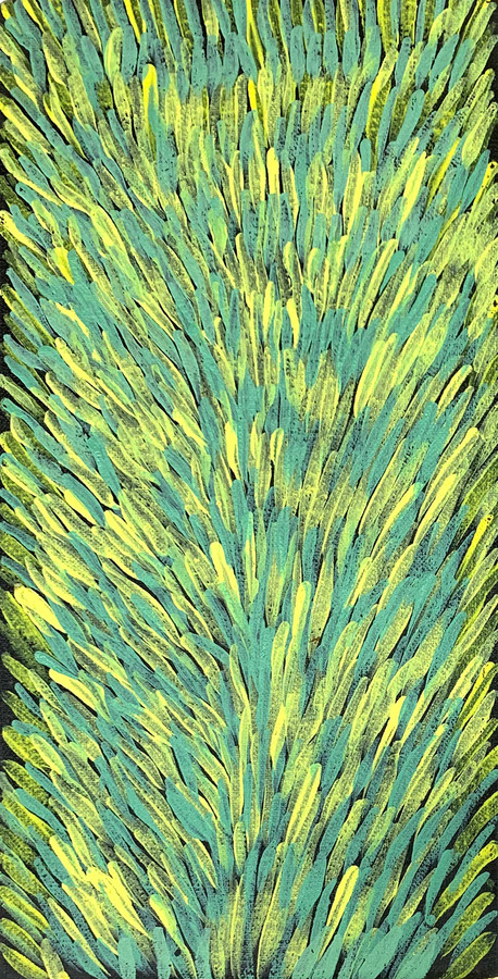 Gloria Tamerre Petyarre - MB011848