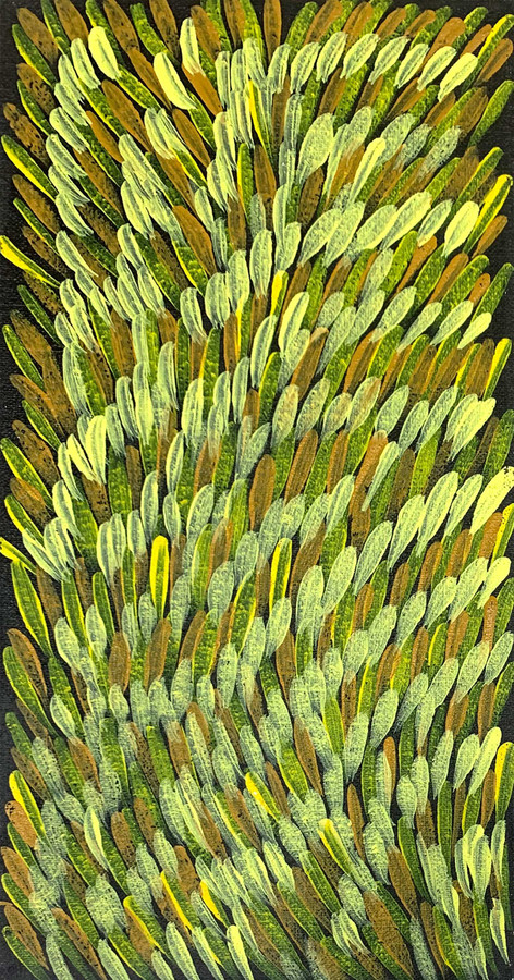 Gloria Tamerre Petyarre - MB011850