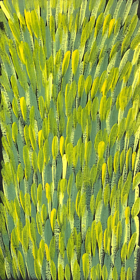 Gloria Tamerre Petyarre - MB011852