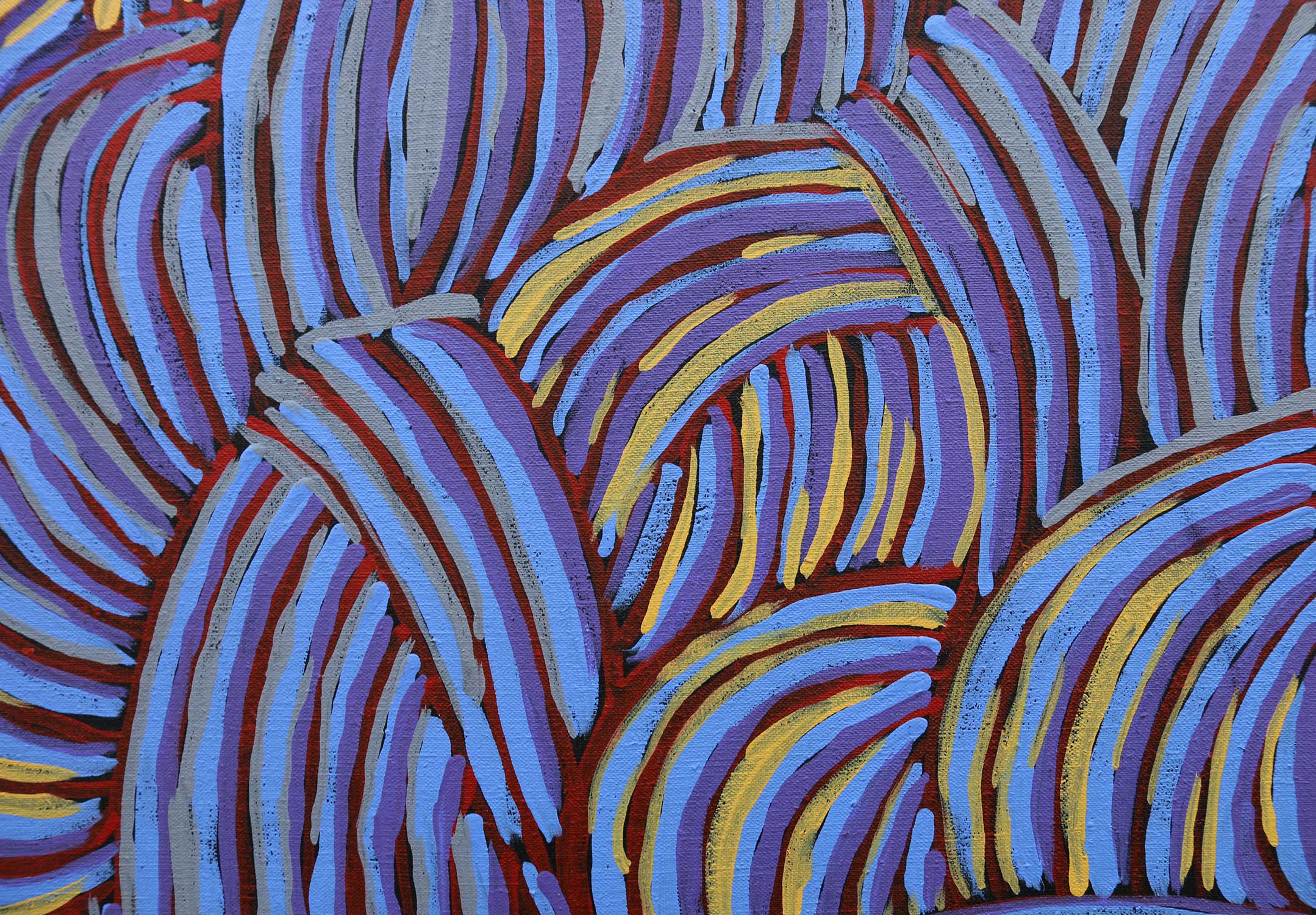 Gloria Petyarre作 アボリジニアート Aboriginal Artwork Painting MB008896 by Gloria Tamerre Petyarre