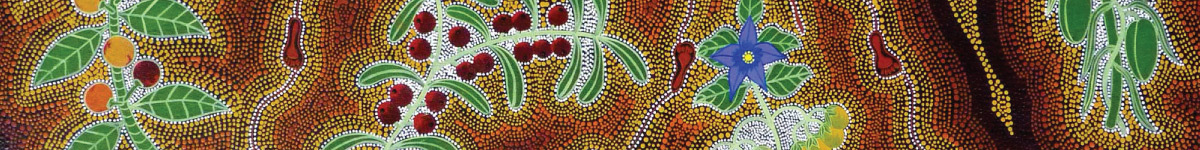 Bush Tucker and Plants
