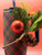 0225-TUMBLER40-HLDY-PLD