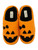 PP-0225-SLPR-FYZ-FALL-PMPK