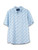 PP-0126-MN-TOP-CSTL-BLFLW