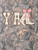 YTH-SS-YALL-CAMO