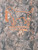 MN-SS-DOGLOGO-CAMO