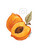 0126-STICKER-PEACH