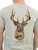 MN-MINWASH-DEER-BRCH