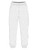 PP-0226-S4G-PNT-ASH