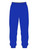 PP-0226-S4G-PNT-RYL