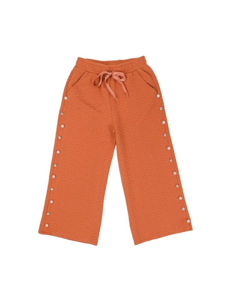 PP-0224-PNT-QLTD-MOCHA PP-0224-PNT-QLTD-MOCHA