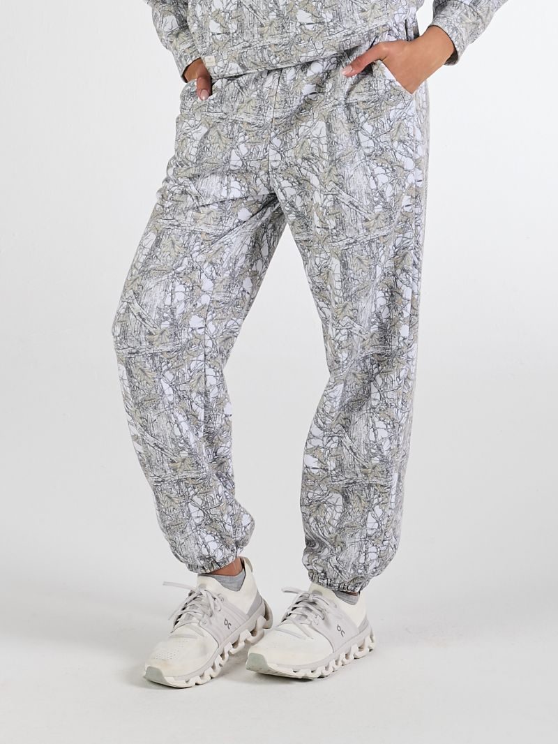 PP-0225-PNT-ALICE-CAMO PP-0225-PNT-ALICE-CAMO