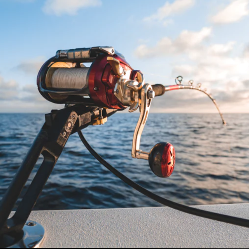 Daiwa Seaborg Dendoh Rod