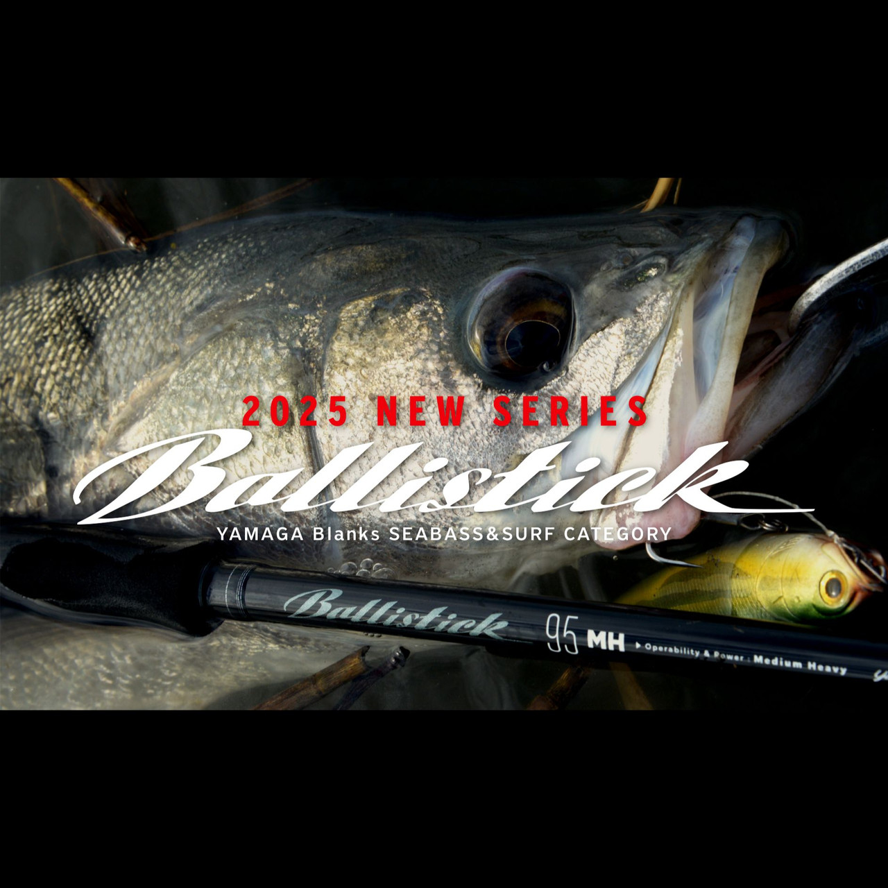 walmart fishing line braided Berkley Trilene Big Game Braid