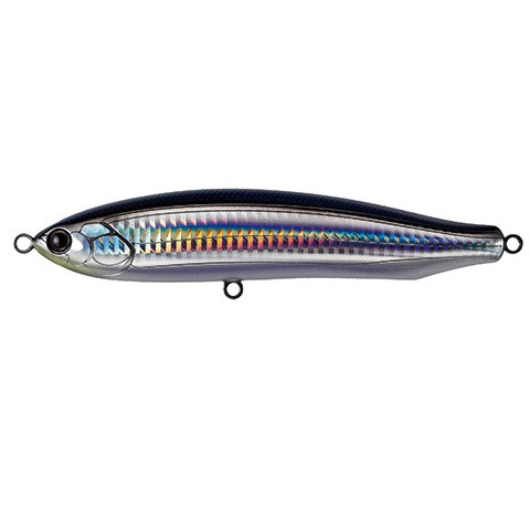 11 - Saury