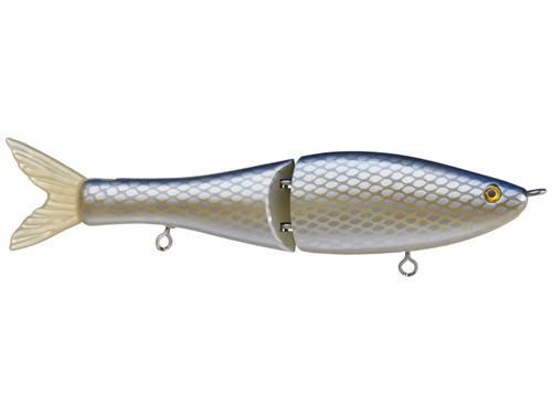 Gizzard Shad