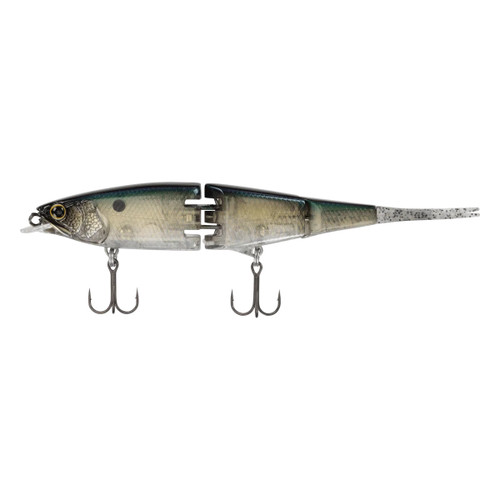 Sexy Shad