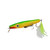 Parrot