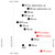Zenaq Power and Action Chart