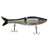 Steve's Gizzard Shad