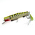 Yellow Mackerel