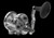 Avet MXL G2 Single Speed 5.8 Lever Drag Conventional Reel w/o Glide Plate *Clearance*