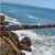 Lamiglas Insane Surf Rods