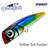 Yellow Tail Fusilier