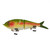 Rainbow Trout